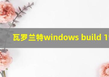 瓦罗兰特windows build 19045